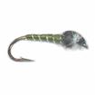 A P chironimid olive